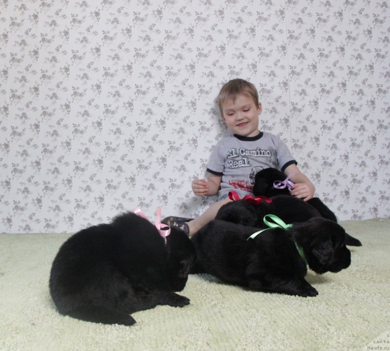 Фото: АС. Н...