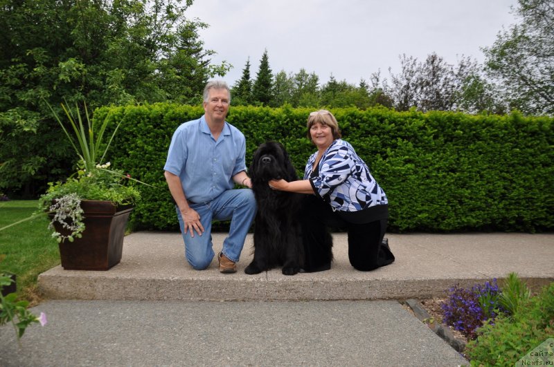 Фотография № 139085