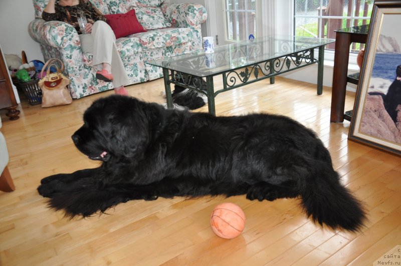 Фотография № 139089