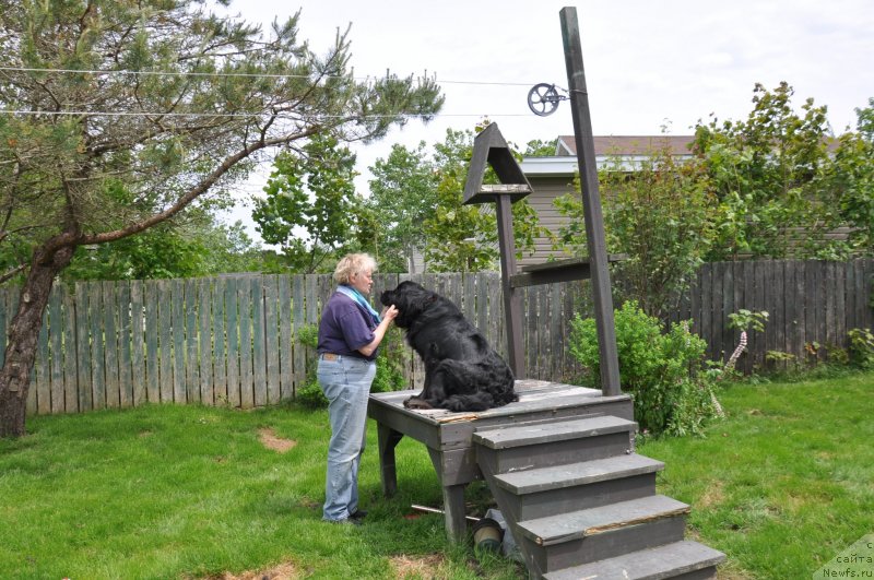 Фотография № 139091