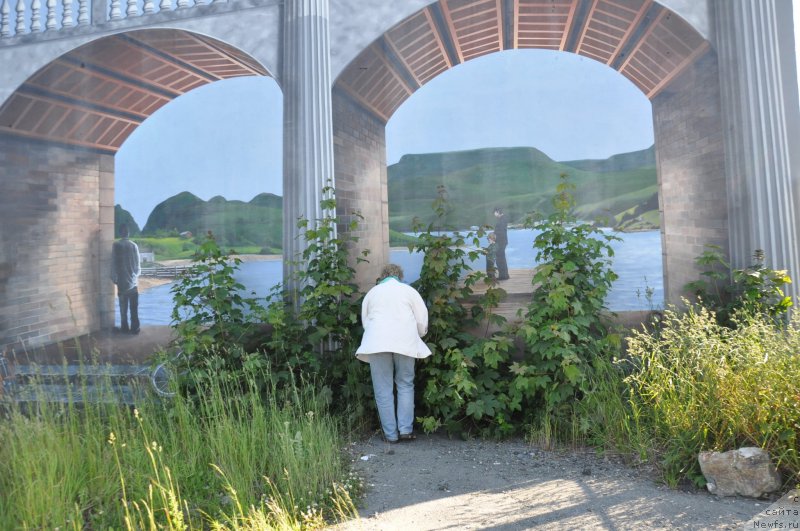 Фотография № 139092