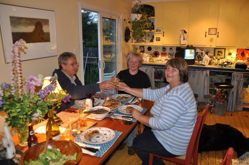 Фотография № 139102