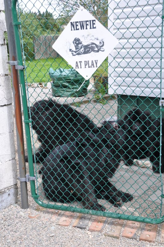 Фотография № 139115