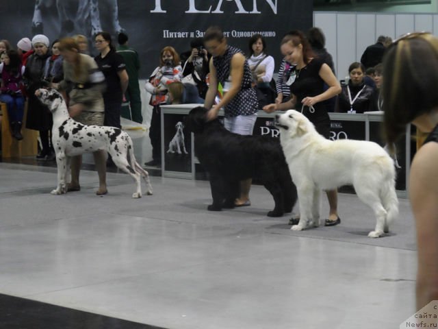 Фотография № 139124