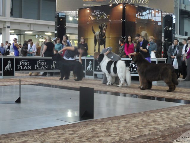 Фотография № 139128