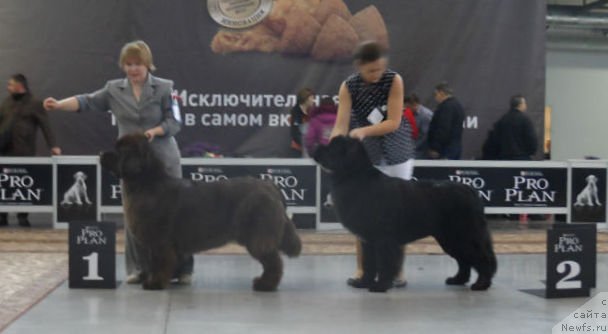 Фотография № 139131