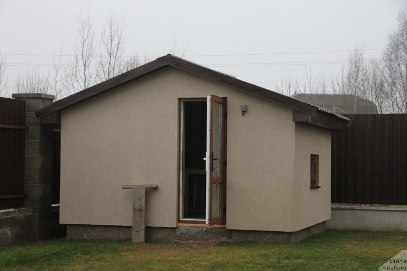 Фото: ньюфаундленд Аквиан Сонг Монтана