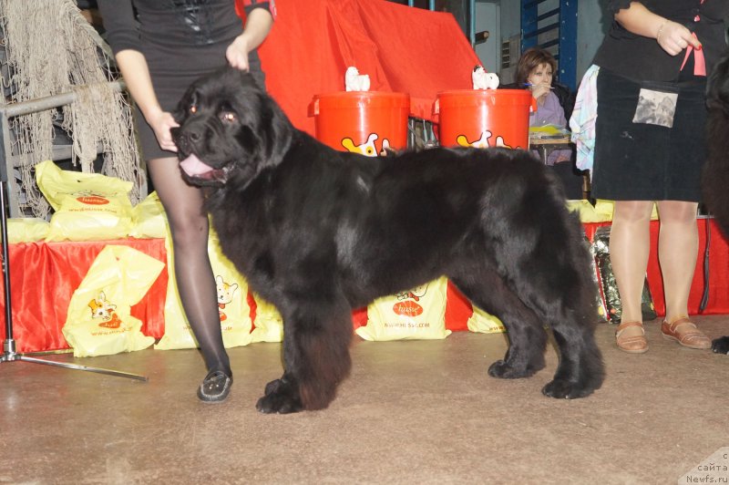 Фотография № 139193