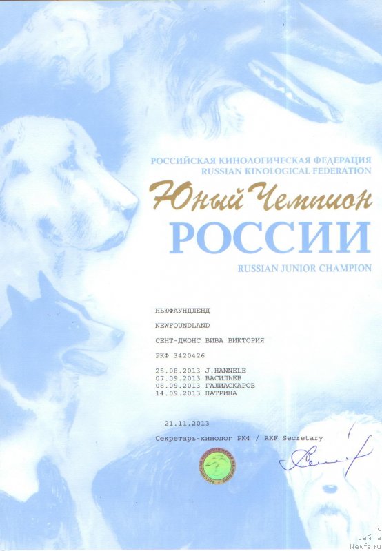 Фото: ньюфаундленд Сент Джонс Вива Виктория (Sent Djons Viva Viktoria)