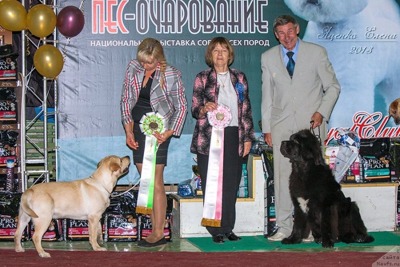 Фотография № 139204