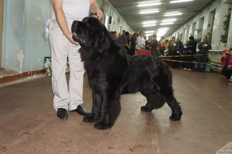 Фотография № 139212