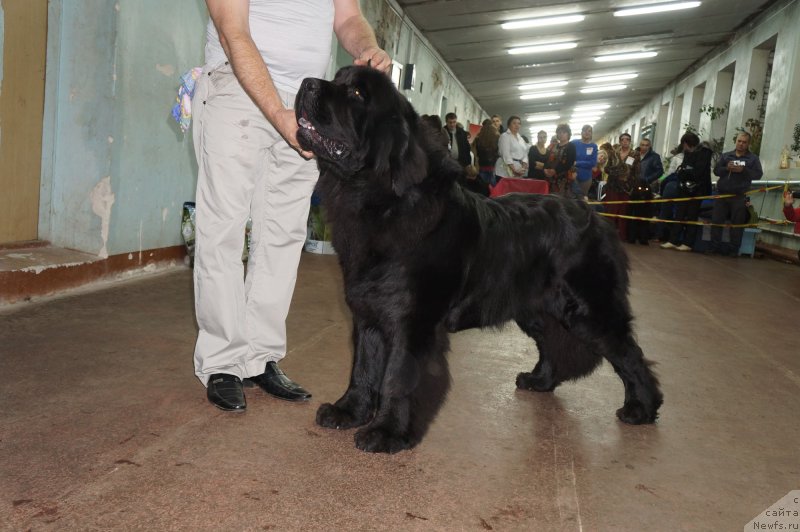 Фотография № 139213