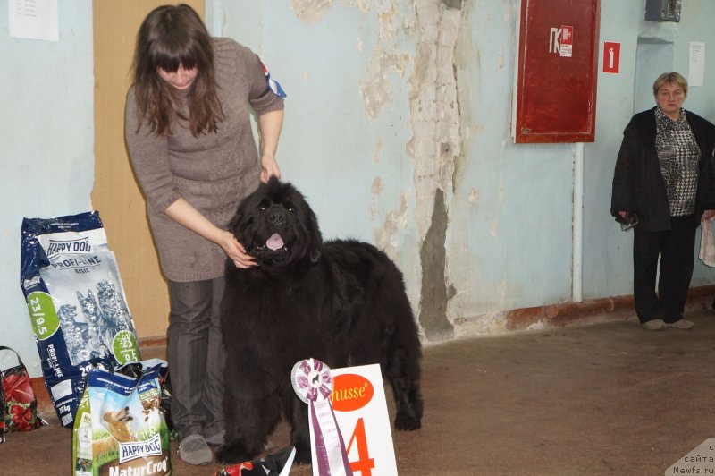 Фотография № 139214