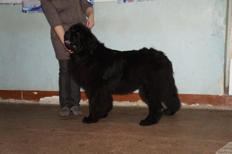 Фотография № 139215