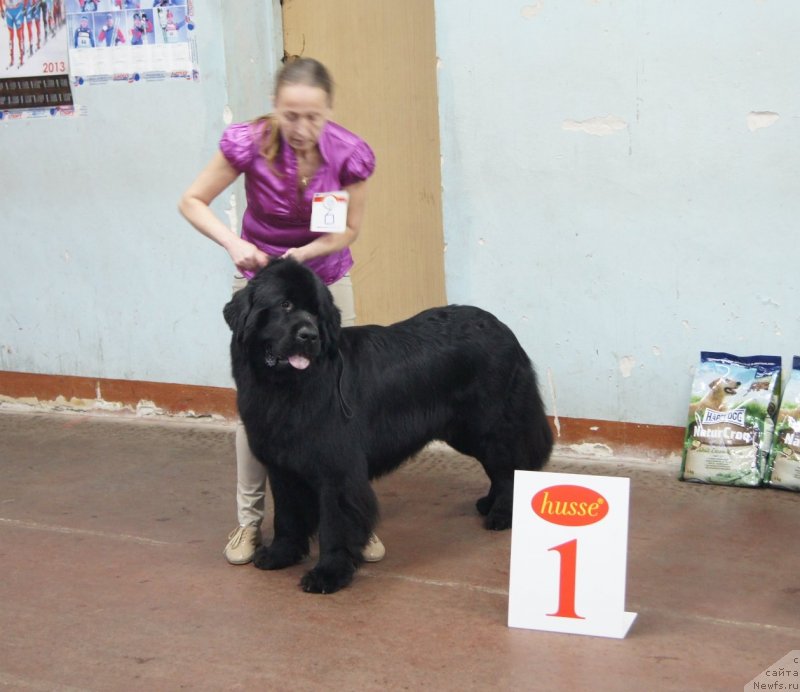 Фотография № 139216