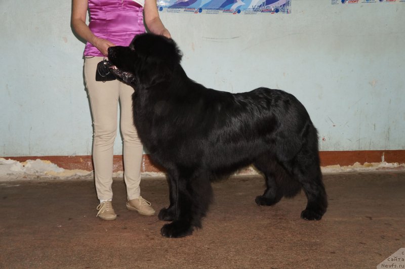 Фотография № 139218