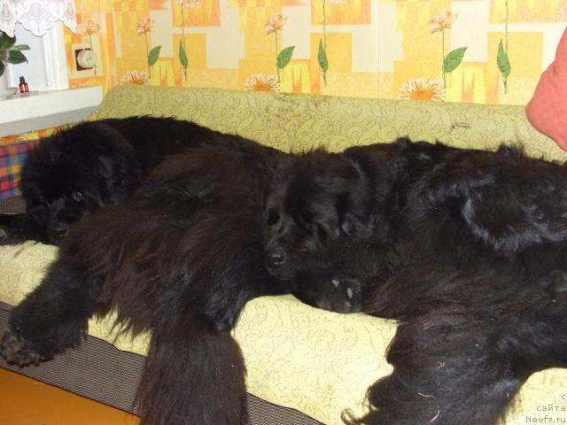 Фотография № 13923