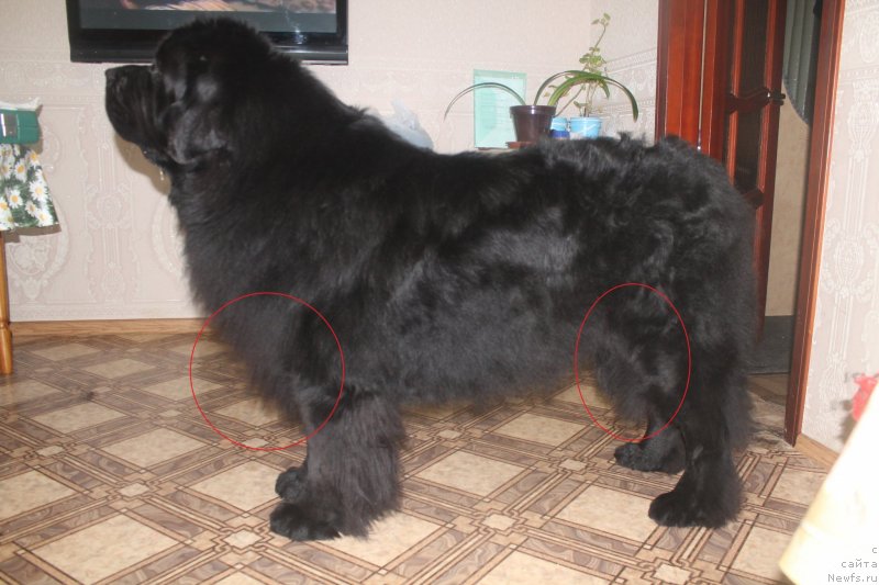 Фотография № 139233