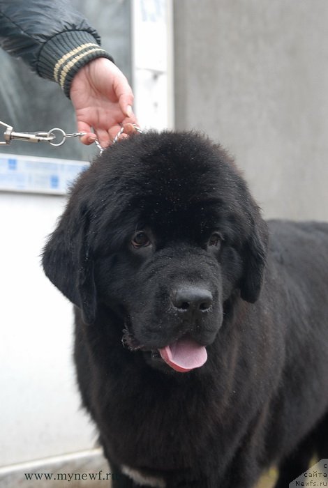 Фотография № 139245