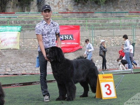 Фотография № 139249