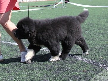 Фотография № 139254