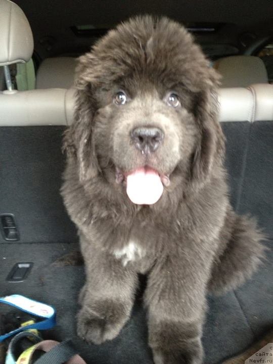 Фотография № 139273