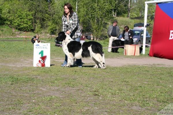 Фотография № 13932