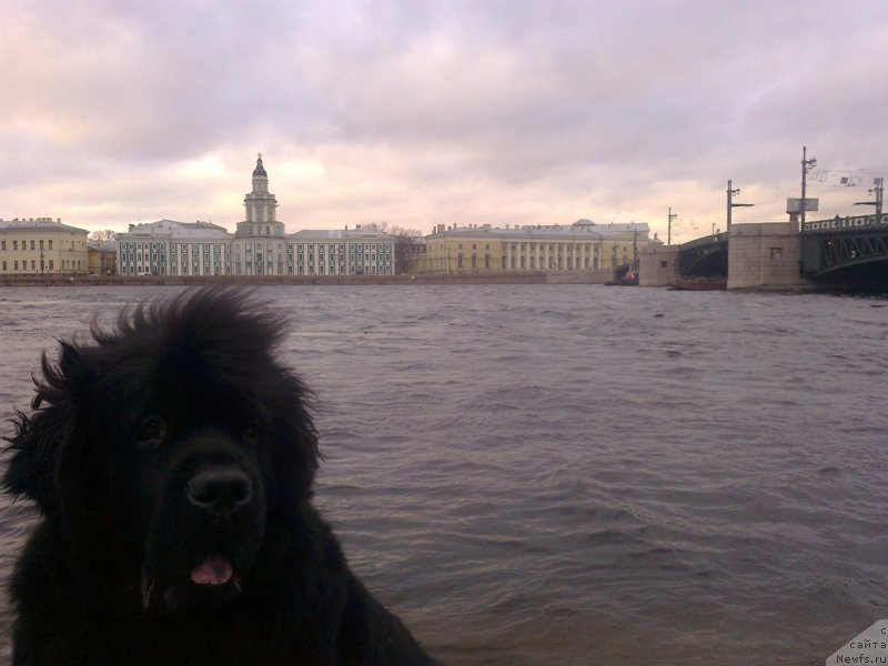 Фотография № 139322