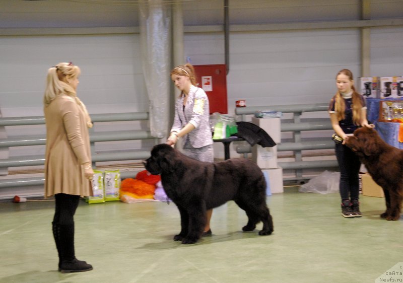 Фотография № 139336