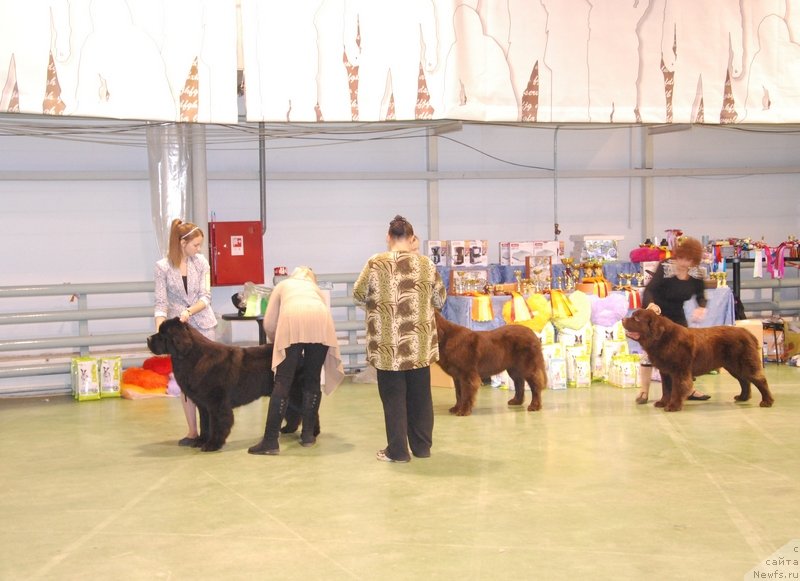 Фотография № 139338