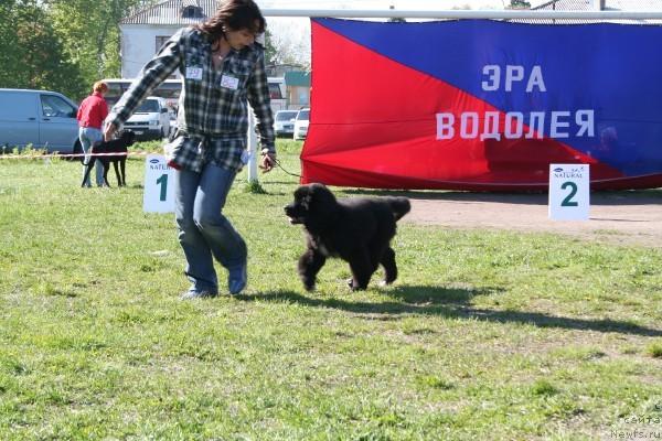 Фотография № 13934