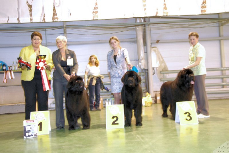 Фотография № 139341