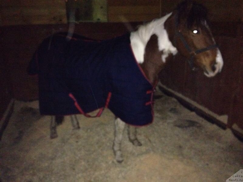 Фотография № 139361