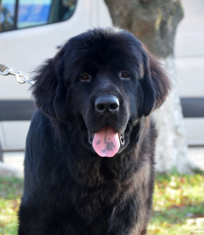 Фотография № 139363