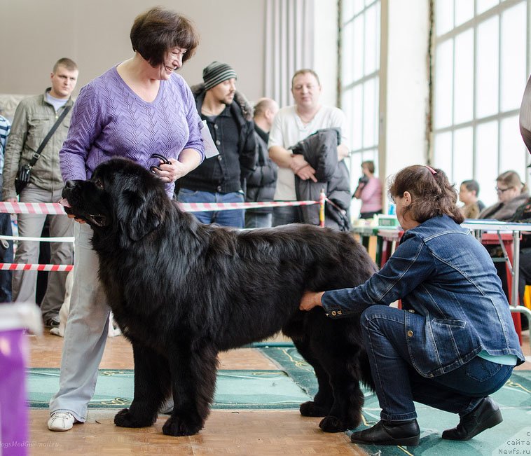 Фотография № 139393