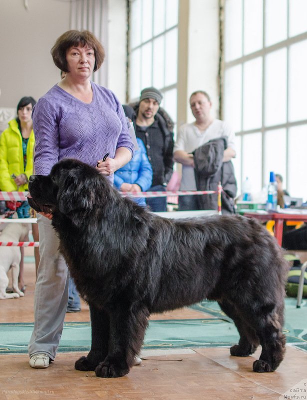 Фотография № 139394