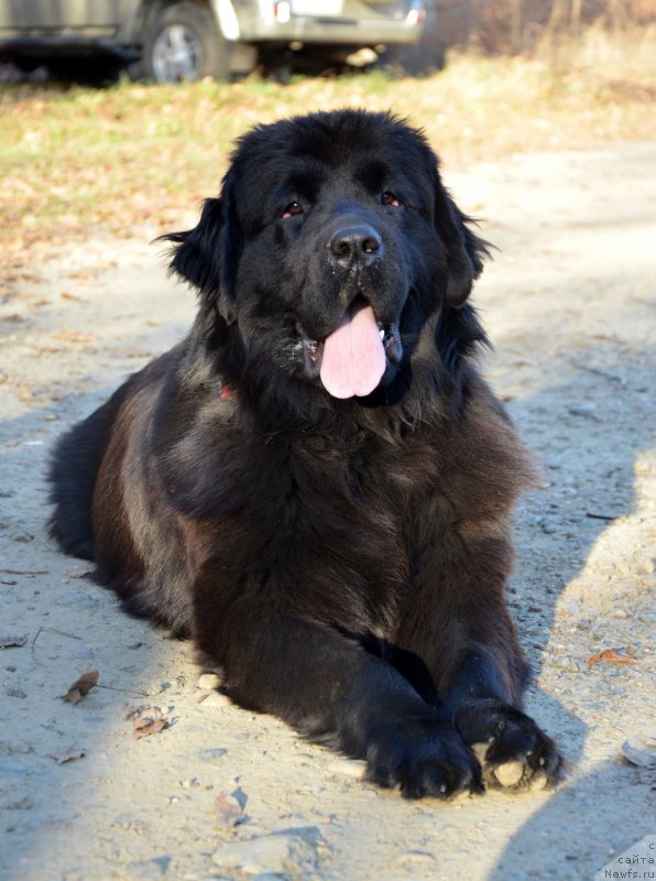 Фотография № 139395