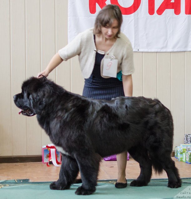 Фотография № 139396