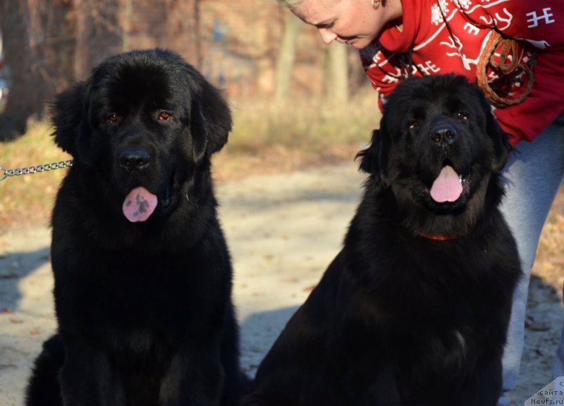 Фотография № 139398