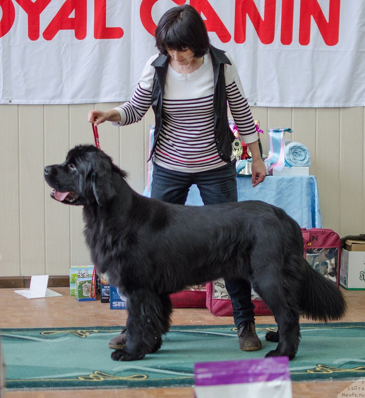 Фотография № 139408