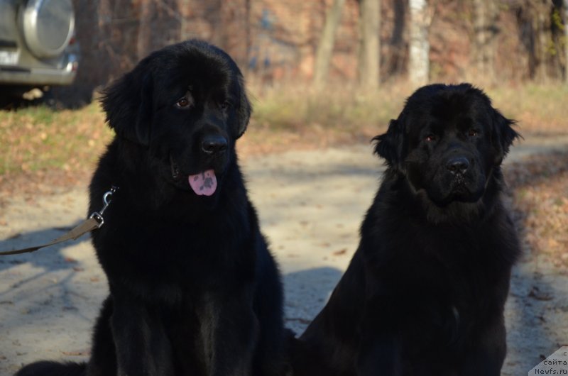 Фотография № 139410