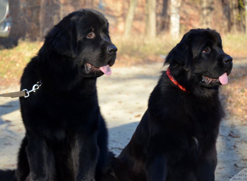 Фотография № 139411