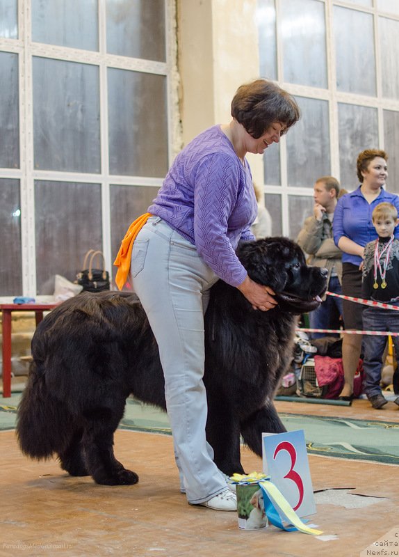 Фотография № 139414