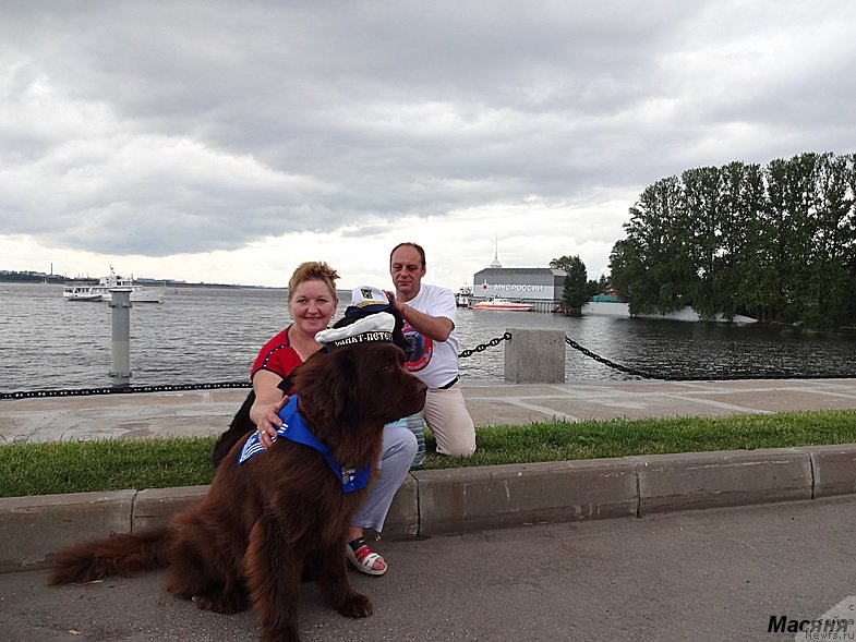 Фото: ньюфаундленд Очаровашка с Берега Дона (Ocharovashka s Berega Dona), Галина Артюшина, Дима