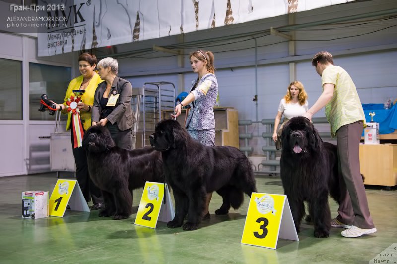 Фотография № 139463