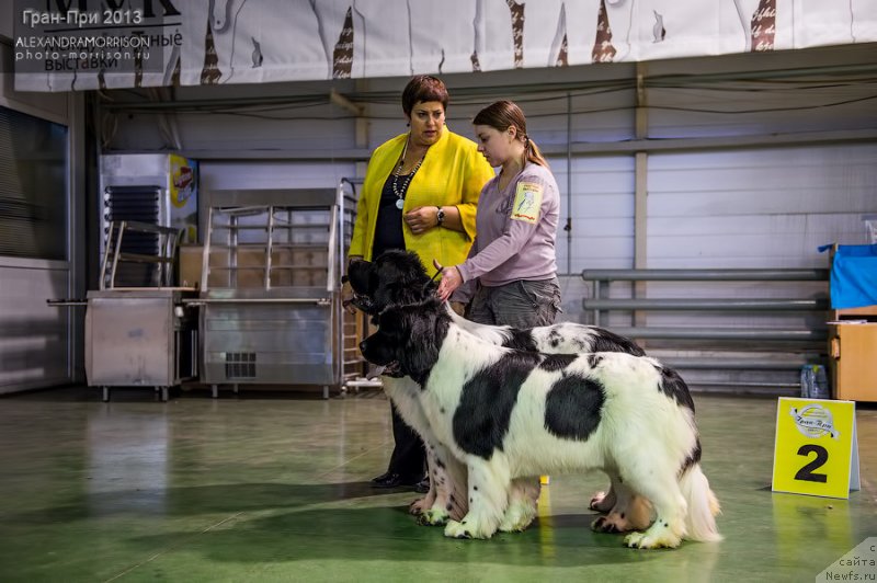 Фотография № 139465