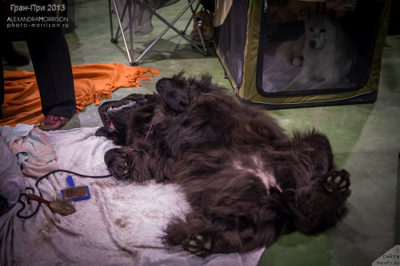 Фотография № 139466