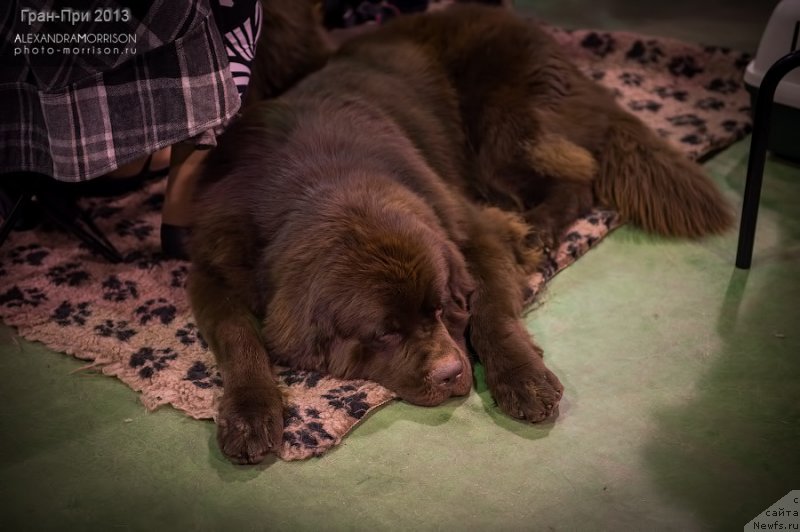 Фотография № 139467