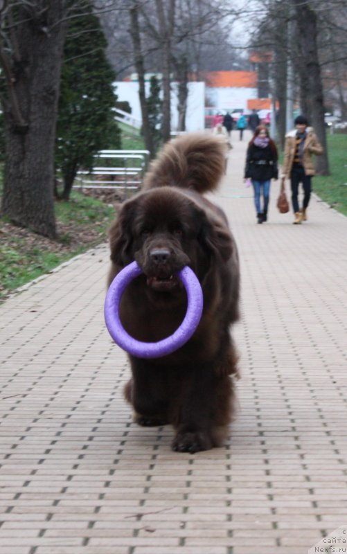 Фотография № 139470