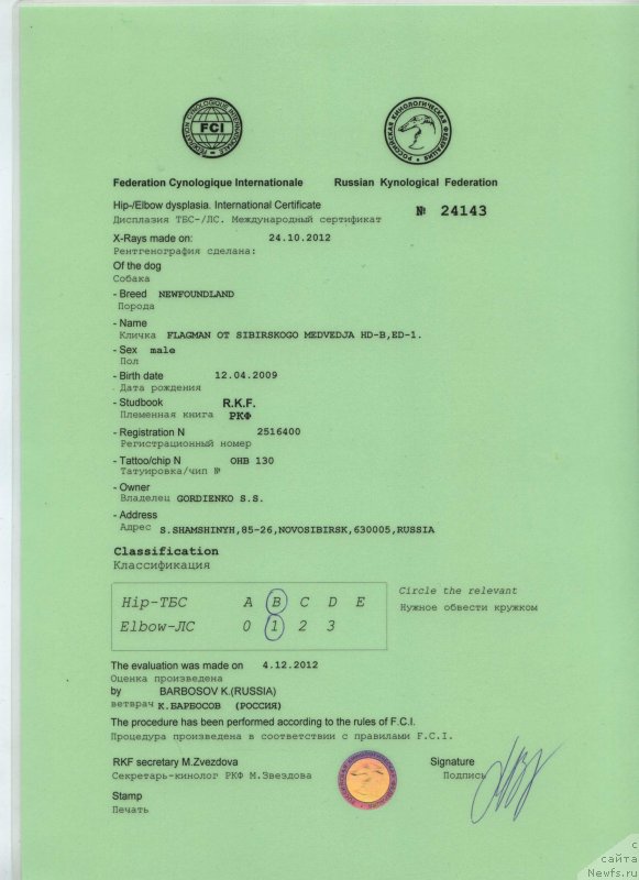Фото: ньюфаундленд Флагман от Сибирского Медведя (Flagman ot Sibirskogo Medvedja)
